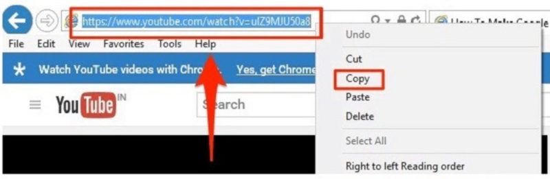 Copy the Blocked YouTube Video URL