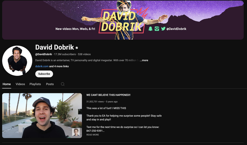 Famous YouTubers in California - David Dobrik